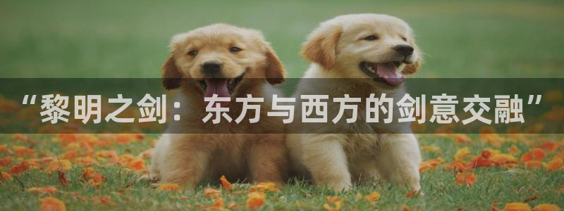 58动漫网址：“黎明之剑：东方与西方的剑意交融”